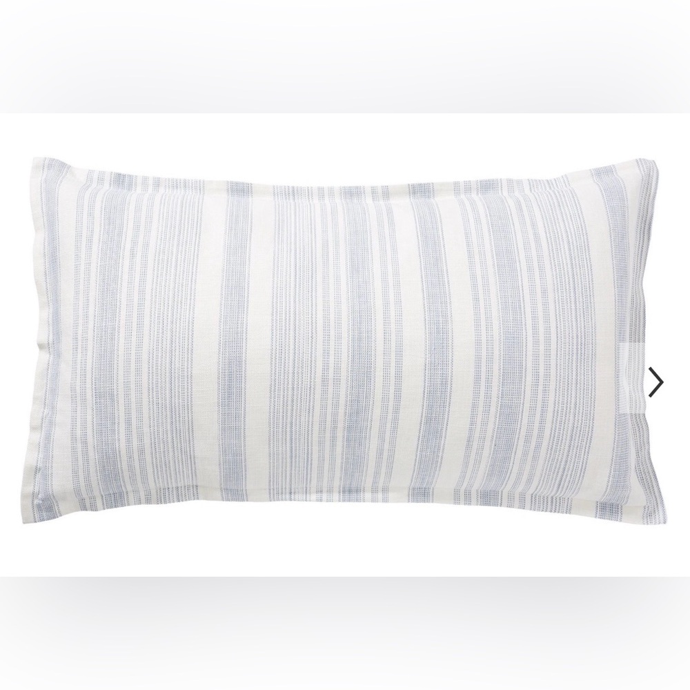 💙Pottery Barn💙2 Hawthorn Stripe Cotton King Shams